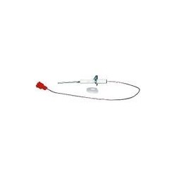 Electrode ionisation