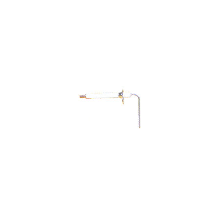 Electrode ionisation