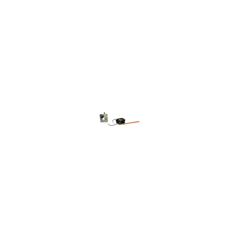-Limiteur de T de securite- Piece chaudiere -