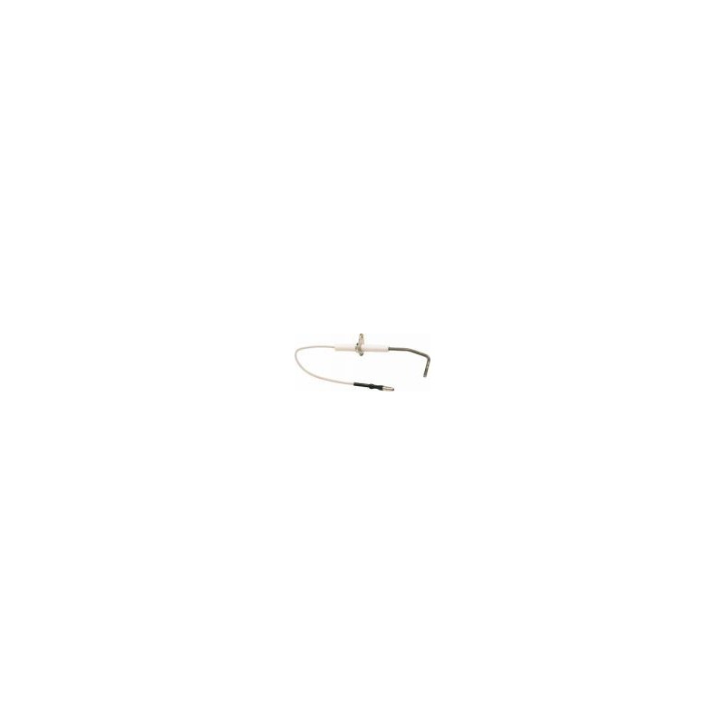 Electrode d'ionisation