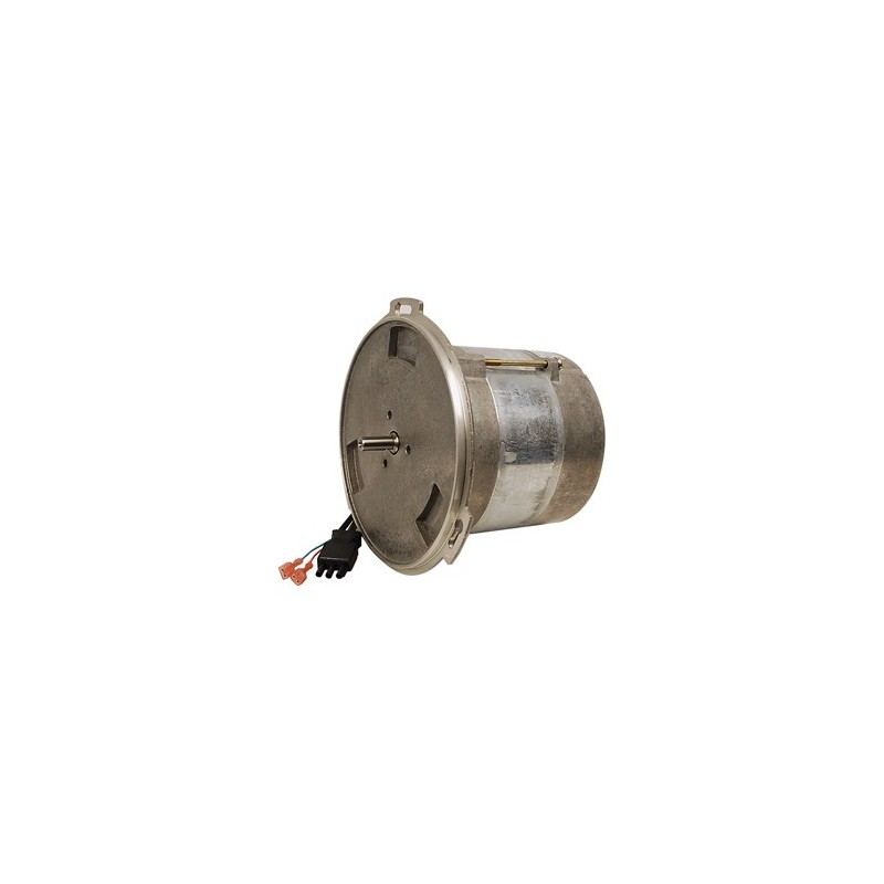 Moteur Weishaupt