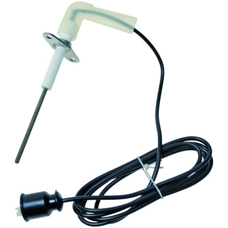 Electrode d'ionisation pour Weishaupt