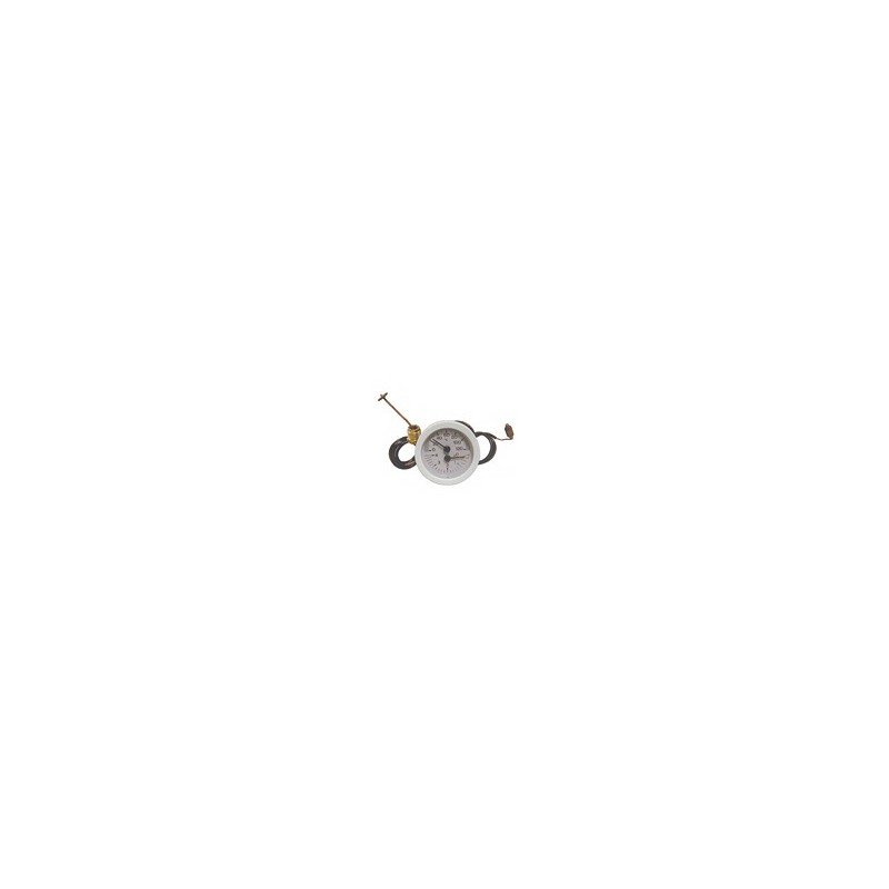 -Indicateur de temperature pression- Piece chaudiere -