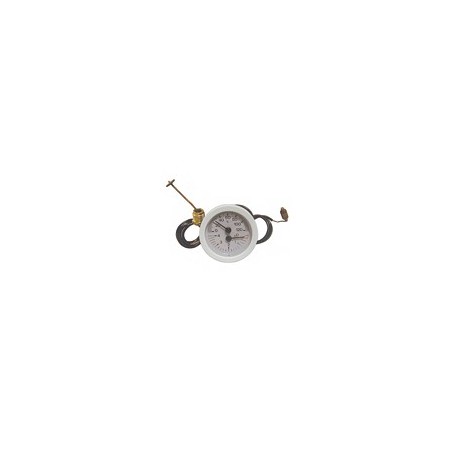 -Indicateur de temperature pression- Piece chaudiere -