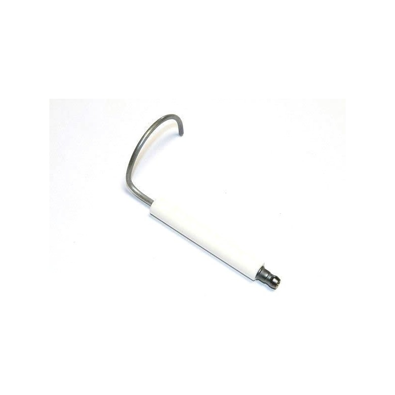 Electrode d'ionisation