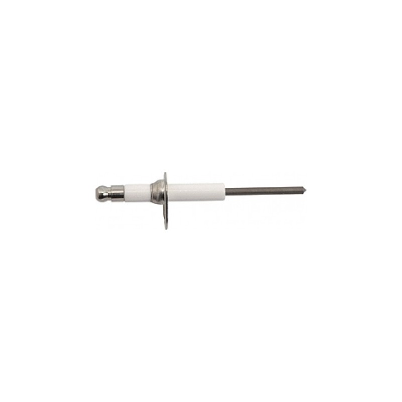 Electrode ionisation GA 110