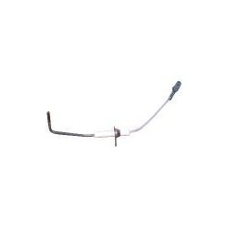 Electrode ionisation