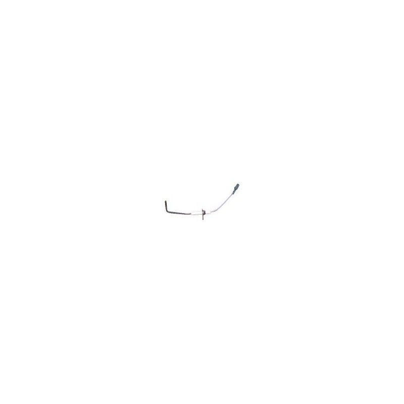 Electrode ionisation