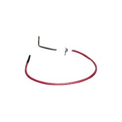Electrode ionisation