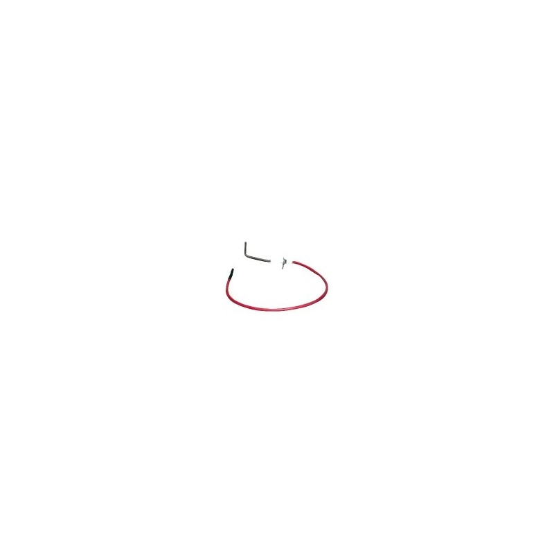 Electrode ionisation