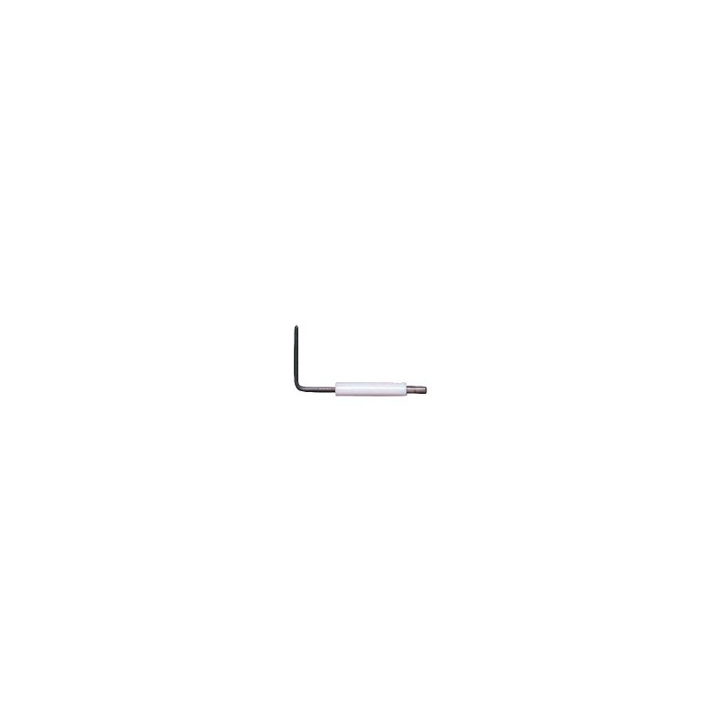 Electrode ionisation