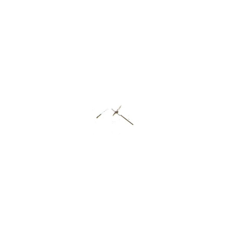 Electrode ionisation