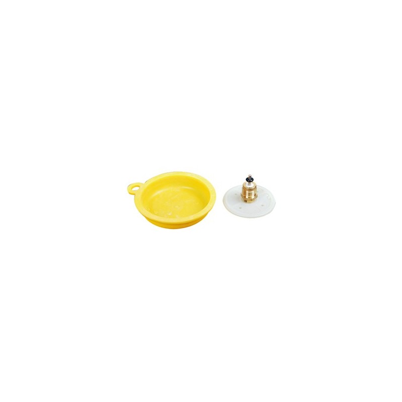 -Menbrane WR 250- Piece chaudiere -