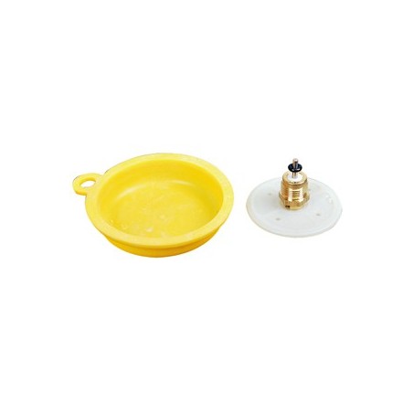 -Menbrane WR 250- Piece chaudiere -