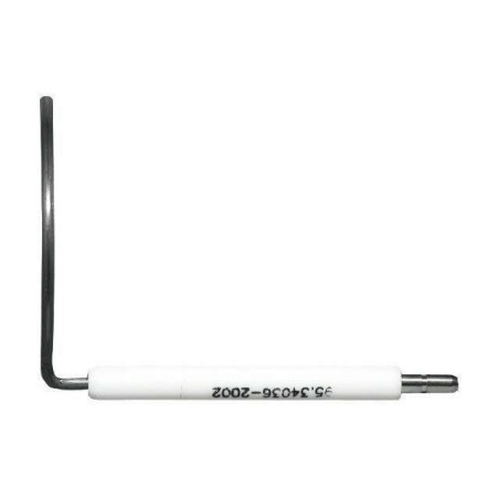 Electrode d'ionisation