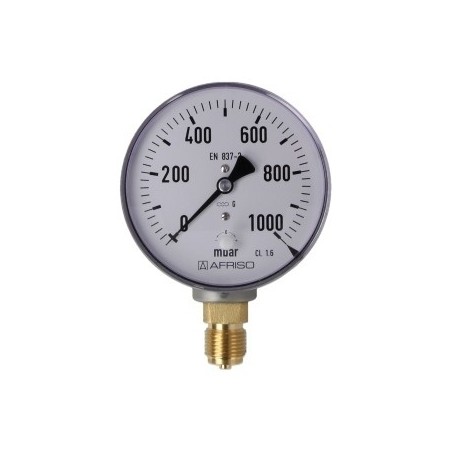 Manomètre à ressort avec capsule, gaz 0-1000 mbar