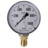 Manomètre à ressort avec capsule, gaz 0-1000 mbar