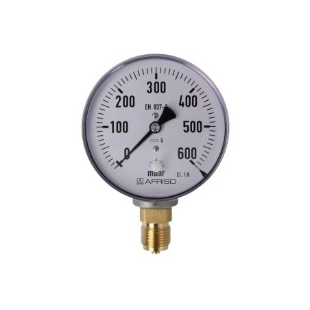 Manomètre à ressort avec capsule, gaz 0-600 mbar