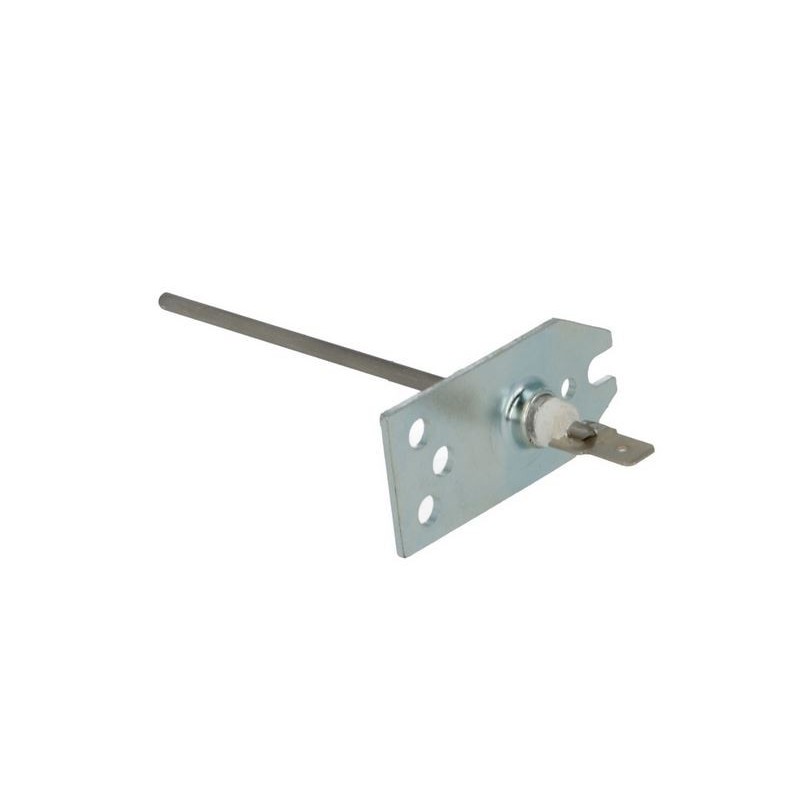 Electrode d'ionisation Q 354 A 1000 B 63,5 mm