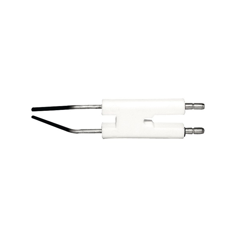 Bloc électrode Weishaupt WL 20/2-C,