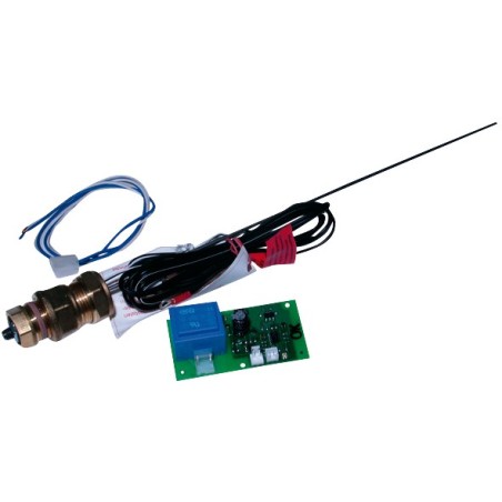 Anode
