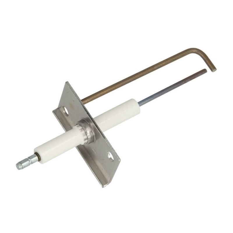 Électrode d'allumage Weishaupt WTG, 450 110 3050/7