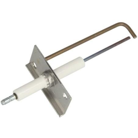Électrode d'allumage Weishaupt WTG, 450 110 3050/7