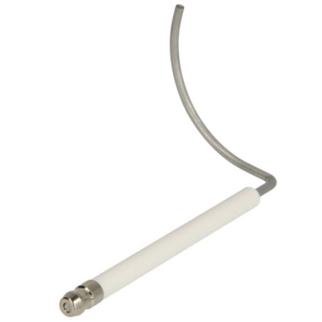 Electrode ionisation