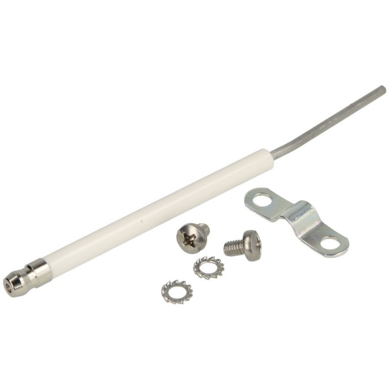 Electrode ionisation