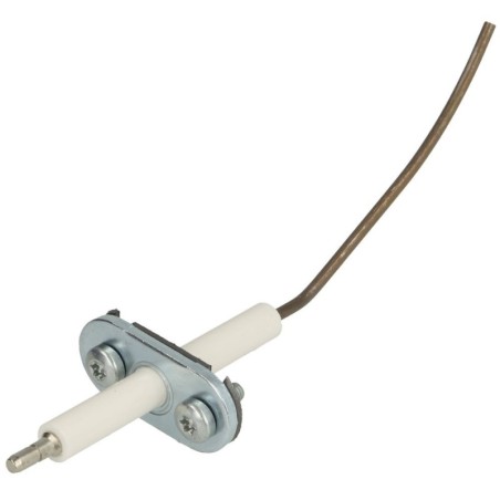 Electrode ionisation