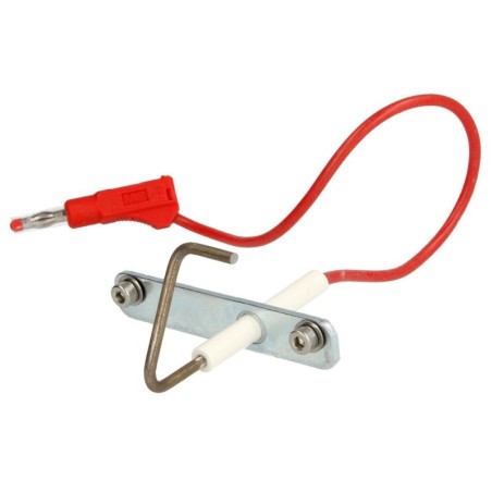 Electrode ionisation