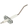 Electrode ionisation
