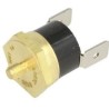 Thermostat de brûleur 107°C, Buderus