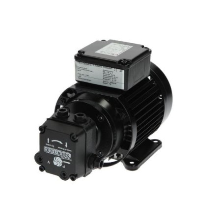 Groupe motopompe K 2 W