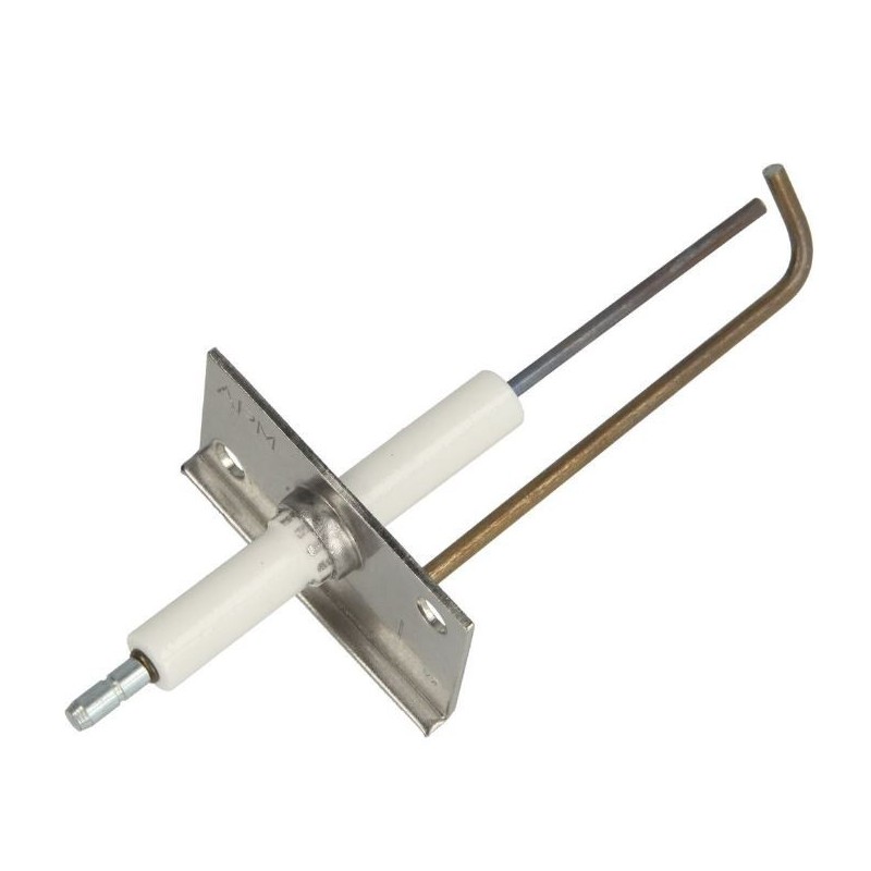 Electrode d'ionisation pour Weishaupt