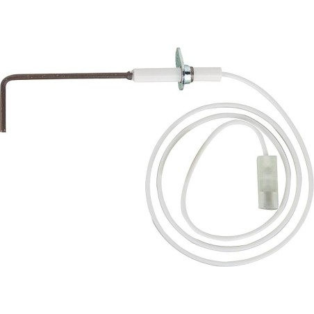 Electrode d'ionisation