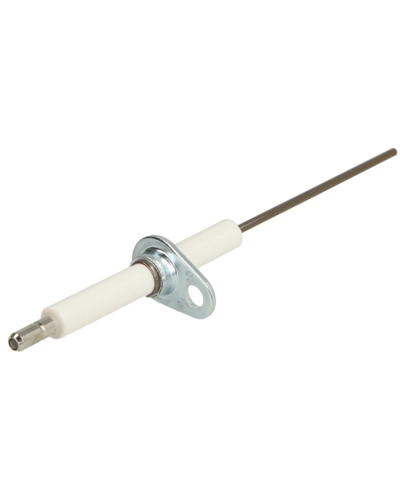 Electrode d'ionisation