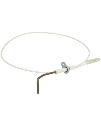 Electrode d'ionisation