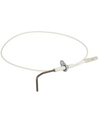 Electrode d'ionisation