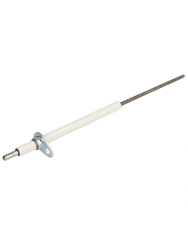 Electrode d'ionisation