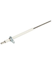 Electrode d'ionisation