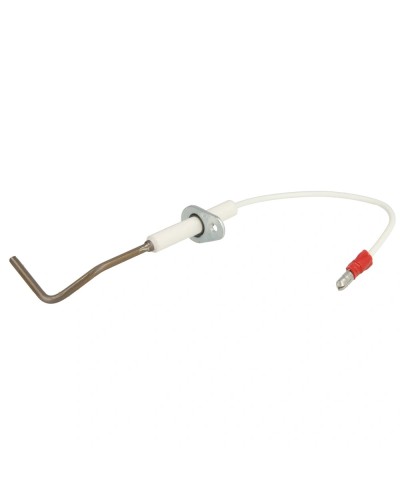 Electrode d'ionisation