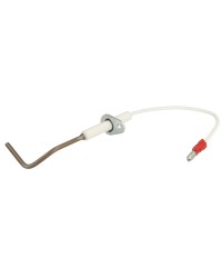 Electrode d'ionisation