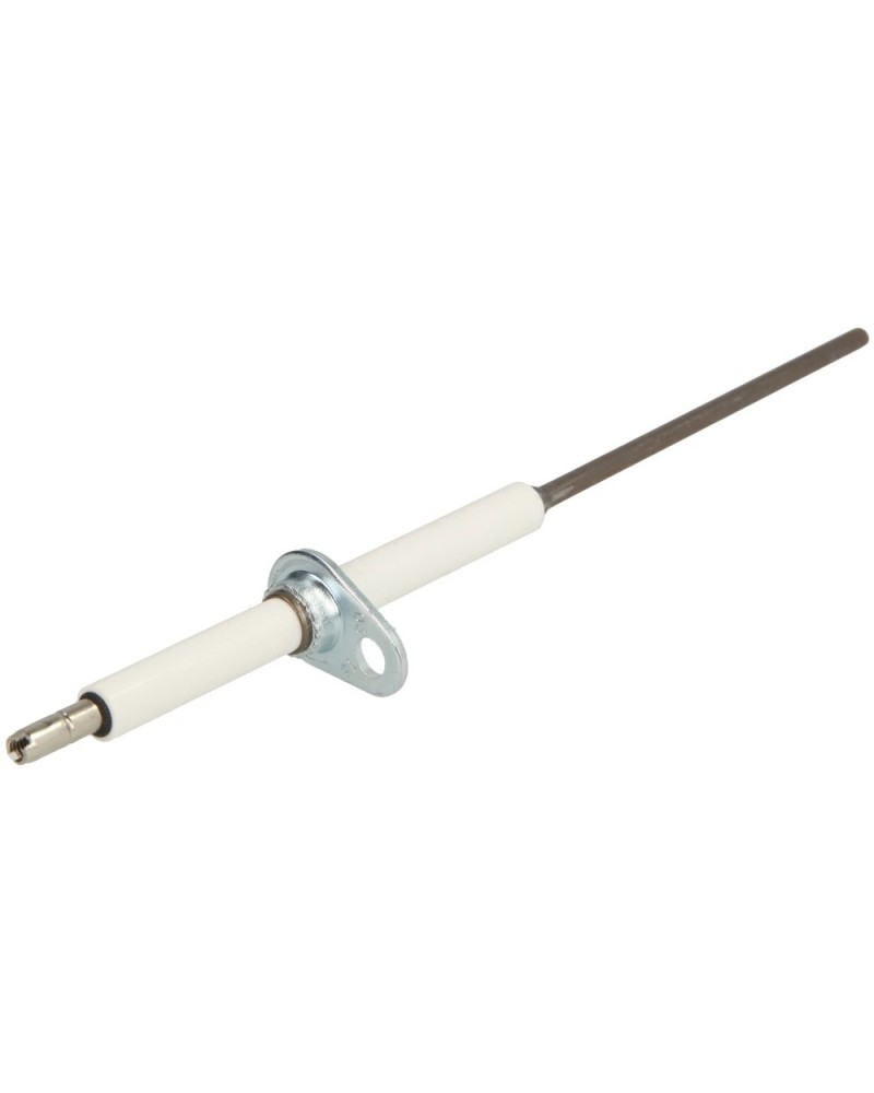 Electrode d'ionisation