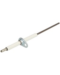 Electrode d'ionisation