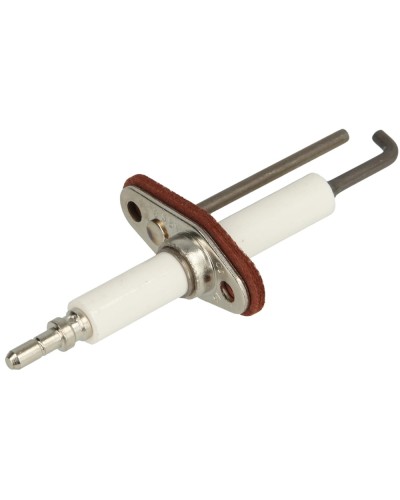 Electrode d'ionisation pour Weishaupt