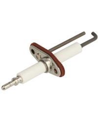 Electrode d'ionisation pour Weishaupt