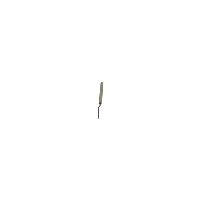 Sonde ionisation 245mm