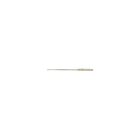 Electrode ionisation