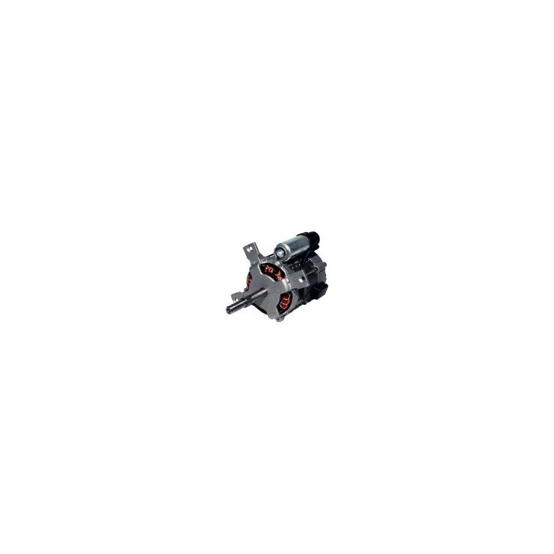 Moteur 250W